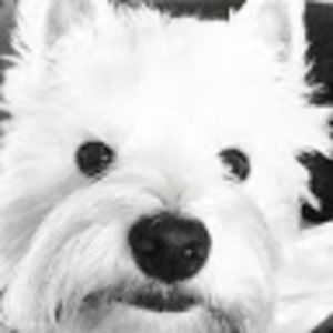 Meet your Posher, Lynne